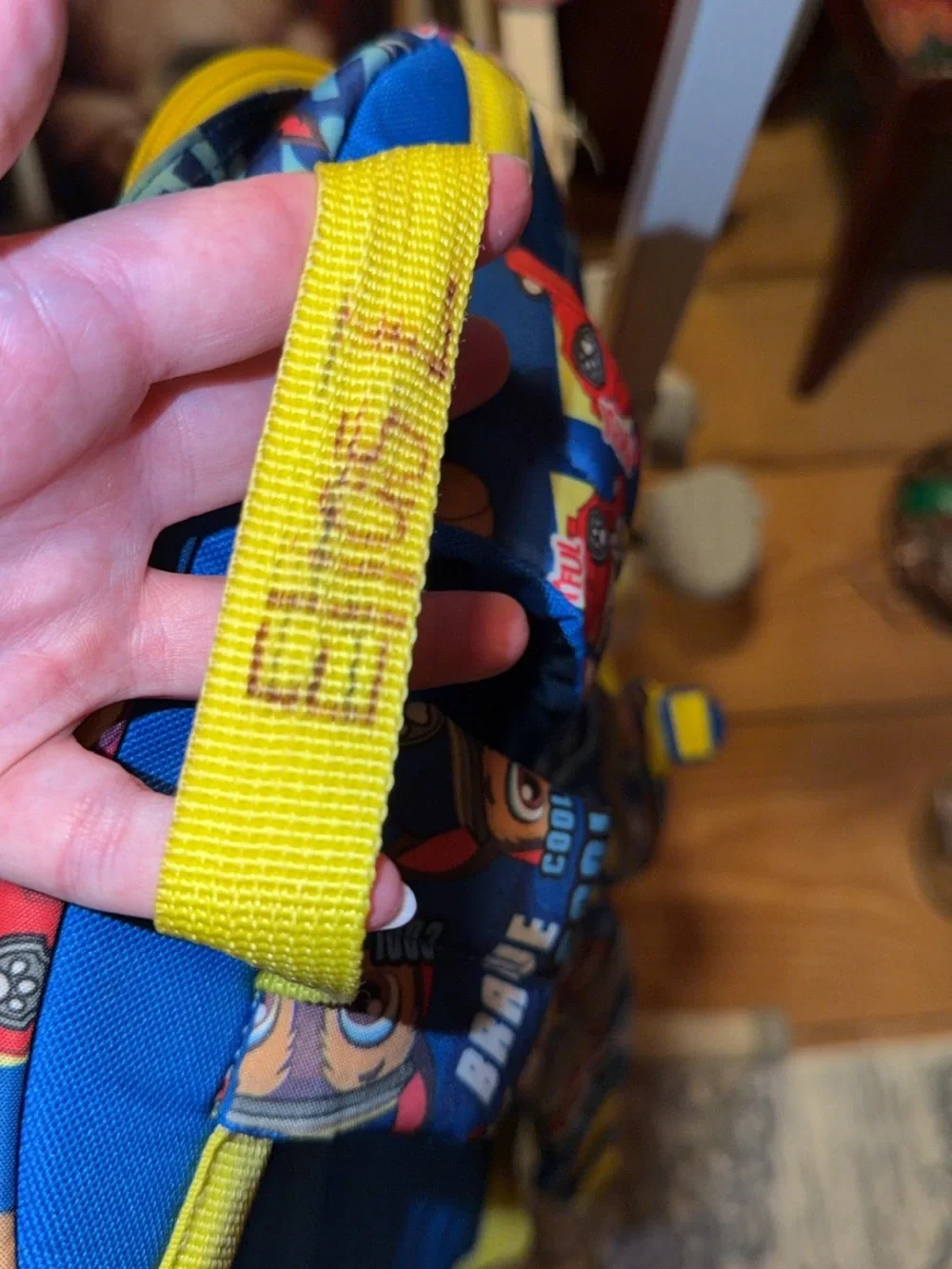 Paw Patrol Blue & Yellow Kids Backpack with Character Graphics